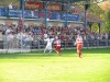 Patrice Kwedi vs. Budimir
